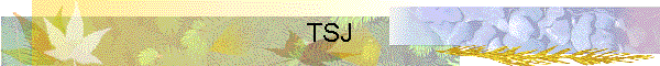 TSJ