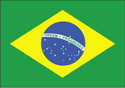 brasilflag.gif (6145 bytes)