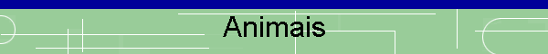 Animais