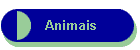Animais