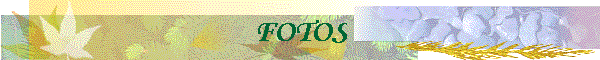 FOTOS