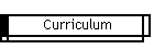 Curriculum