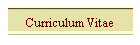 Curriculum Vitae