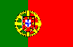 Click for a portuguese version !